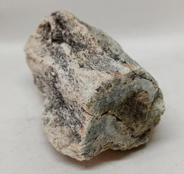 Versteinertes Holz Madagaskar